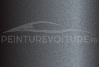 Code peinture Ford (Usa) 49-6353 Graphite