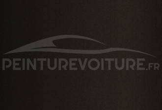 Code peinture Toyota 493 Brown