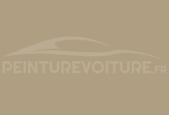 Code peinture Toyota 496 Continental Beige