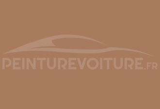 Code peinture Volkswagen L499 Keramikbeige