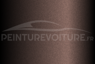 Code peinture Toyota 4E5 Greyish Brown