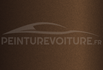 Code peinture Toyota 4L1 Brown