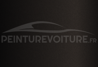 Code peinture Toyota 4M8 Brown
