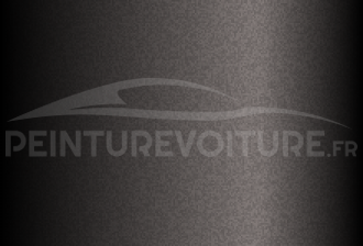 Code peinture Toyota 4N8 Greyish Brown