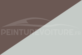 Code peinture Nissan 4V3 Cr1 + Qv1