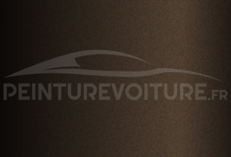 Code peinture Toyota 4X4 Vintage Brown