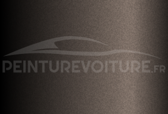 Code peinture Toyota 4X7 Graphite