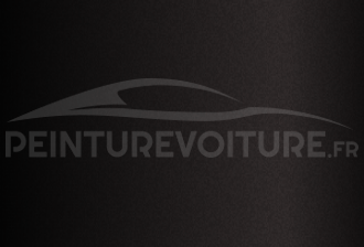 Code peinture Toyota 4X9 Blackish Brown