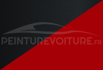 Code peinture Ford 5 P 9 (xsc 2251) + T 9 (xsc 2228)