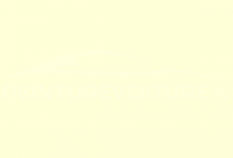 Code peinture General Motors (USA) 5005 San Pedro Ivory