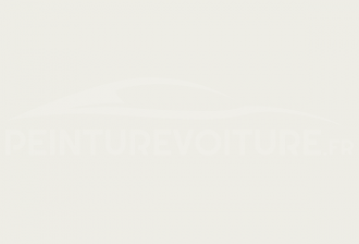 Code peinture Iveco 50062 Bianco S.carlo