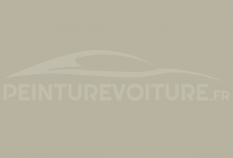 Code peinture Iveco 50081 Grigio
