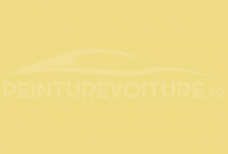 Code peinture Toyota 501 Yellow Topaz