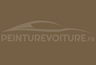 Code peinture Fiat 502 Beige