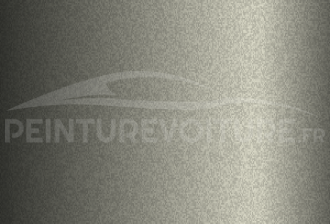 Code peinture Pgo 5029 Spy Grey
