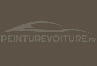 Code peinture Fiat 506/46 Grigio Verde