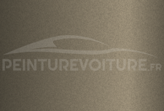 Code peinture Ford 507 Cinza Granito Met