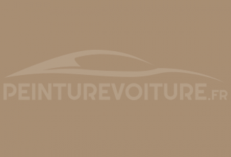 Code peinture Fiat 509/70 Beige
