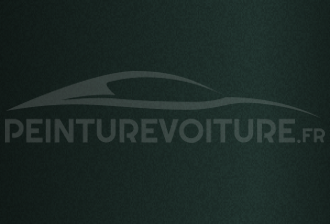 Code peinture Dacia 51008 Vert