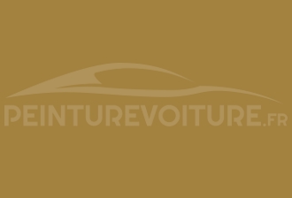 Code peinture Toyota 511 Mustard Yellow