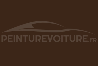 Code peinture Nissan 512 Brown