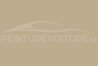 Code peinture Peugeot 516 Beige