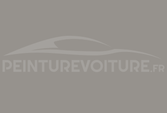 Code peinture Toyota 5168 Warm Grey