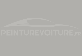 Code peinture Toyota 5179 Grey/beige