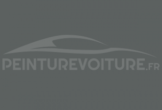 Code peinture Ford 520 Graphite