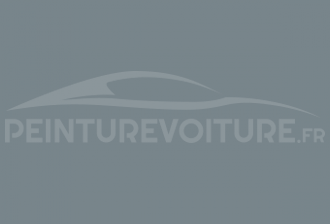 Code peinture Iveco 52080 Grigio