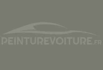 Code peinture Iveco 52092 Grigio