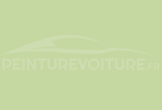 Code peinture Toyota 521 Light Green