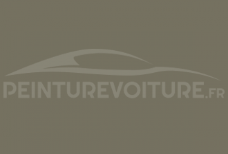 Code peinture Iveco 52126 Grigio Beige