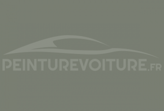 Code peinture Iveco 52144 Grigio Medio