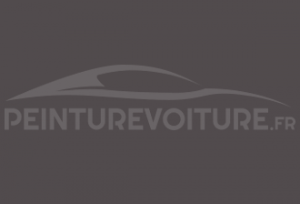 Code peinture Iveco 52276 Grigio Olloquiegui