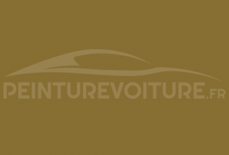 Code peinture Toyota 524 Mustard