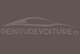Code peinture Fiat 528 Tortora