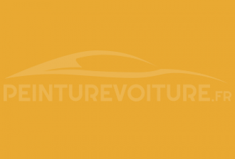 Code peinture General Motors (USA) 52U-229L Highway Yellow