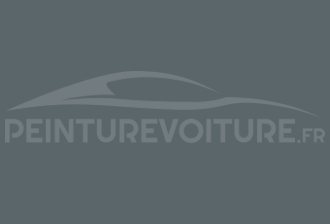 Code peinture Subaru 52V Italia Financial Police Grey