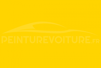 Code peinture Honda 53130 Carnival Yellow