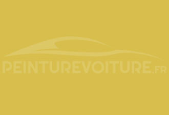 Code peinture Toyota 534 Manhattan Yellow