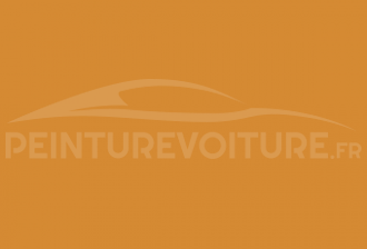 Code peinture Daihatsu 535 Yellow Orange