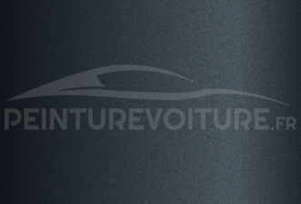 Code peinture Evo 54041 Dark Blue