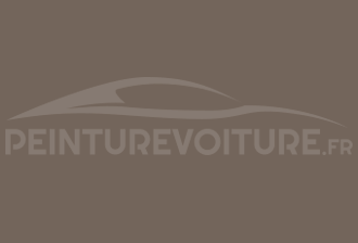 Code peinture Ford 546 Cinza Parachoque Ranger M