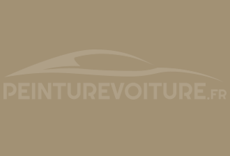 Code peinture Toyota 5492 Grayish Beige