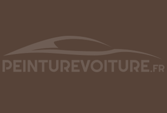 Code peinture Toyota 54B5 Grayish Brown