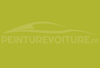 Code peinture Opel 557 Cargo Chartreuse