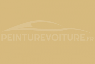 Code peinture Daihatsu 560 Light Yellow