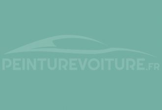 Code peinture Fiat 563 Pantone Verde