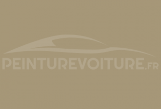Code peinture Fiat 569 (0569) Beige San Marino - Brasile -